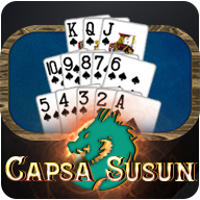 Capsa Susun